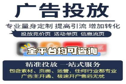 专业SEM托管助力企业快速成长案例分析